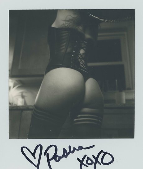 pashavixen ホットなポルノスター 写真