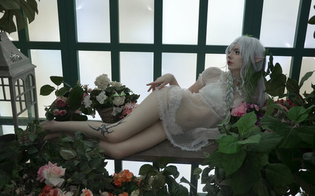 Flutterow 限定スター 画像