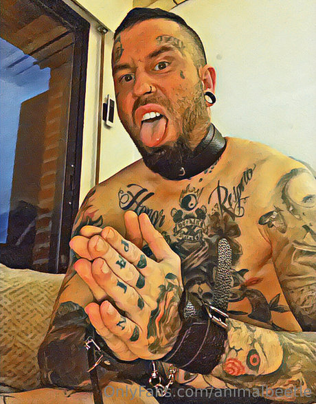 animalbeetle アートモデル 画像