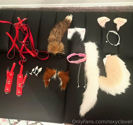 Roxyclover 高品質モデル ギャラリー