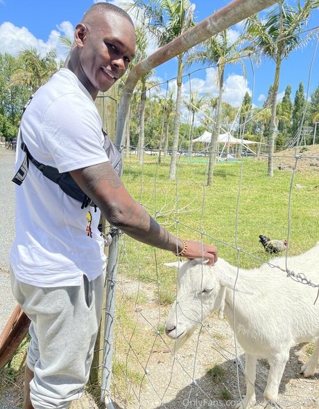 freestylebender 裸のポルノスター 写真