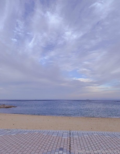 futanari fc2 美しい女優 写真