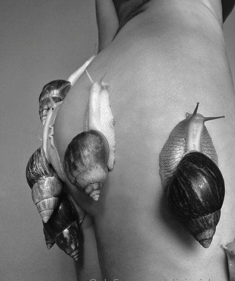 oliviezizkova 裸のモデル 写真