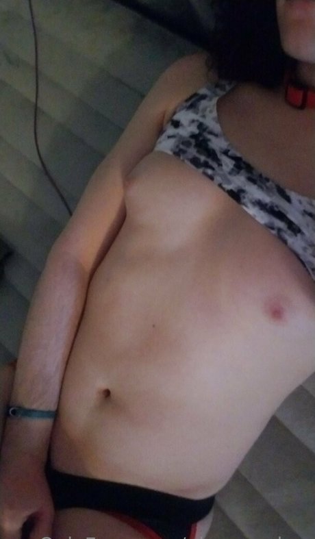 playpupskye ポルノスター エロティック 画像