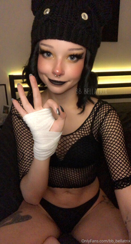 bb bellatrix HDモデル 画像