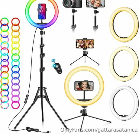 gattarasatanica ポルノスター トップ アーカイブ