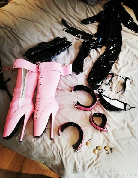 evilkitten xxxポルノスター ギャラリー