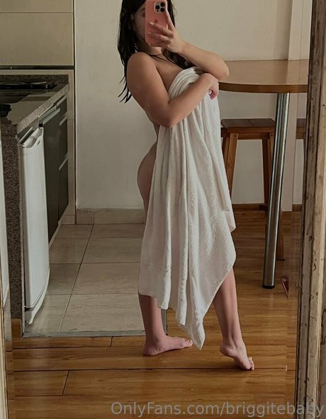 briggitebaby 限定モデル アーカイブ