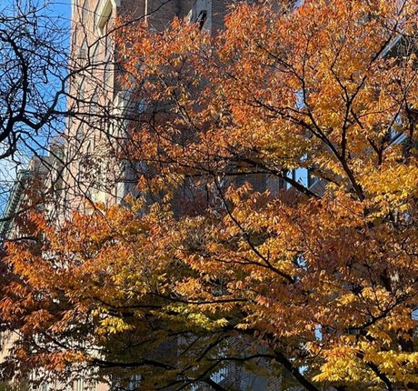 エクストリームオンリーファン えろた 写真