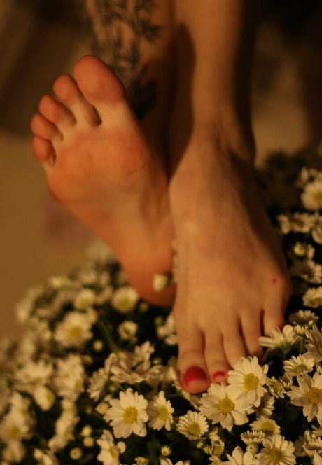 fleivinha スター 裸 写真