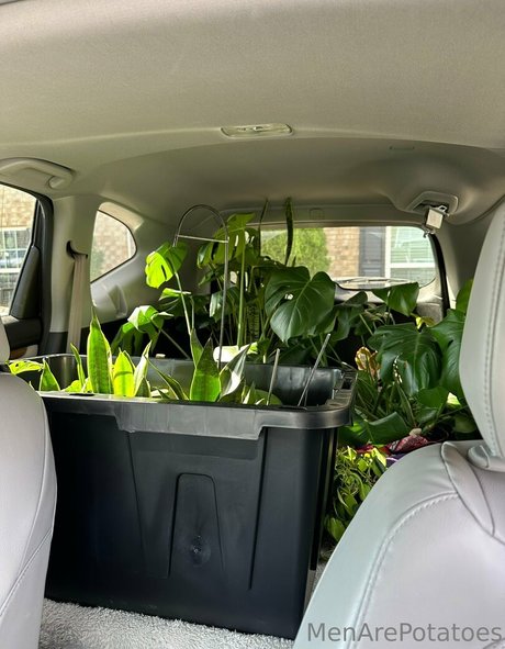 セクシーな妻オンリーファンズ ヌード アーカイブ