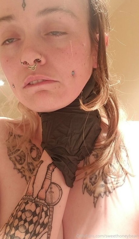 sweethoneybean スター アーカイブ