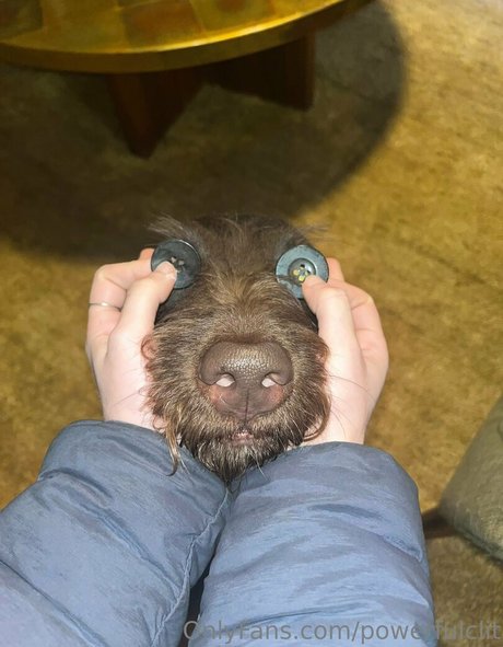 powerfulclit ポルノスター 裸 画像