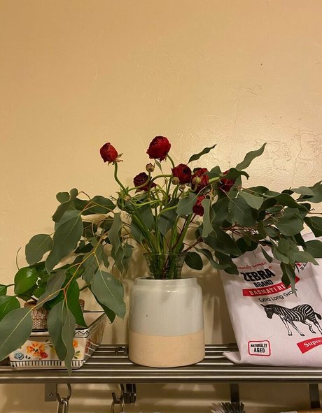 powerfulclit ポルノスター 画像