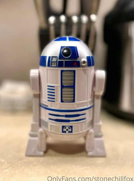 stonechillfox xxxモデル 写真