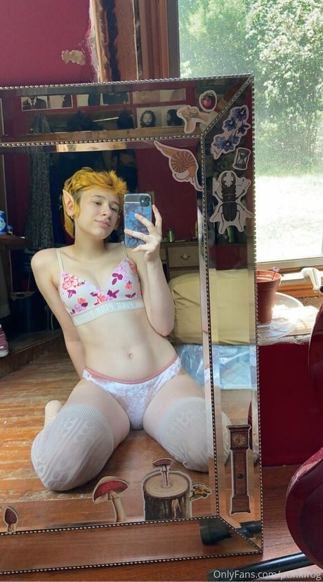 punkfrog プロフィール写真