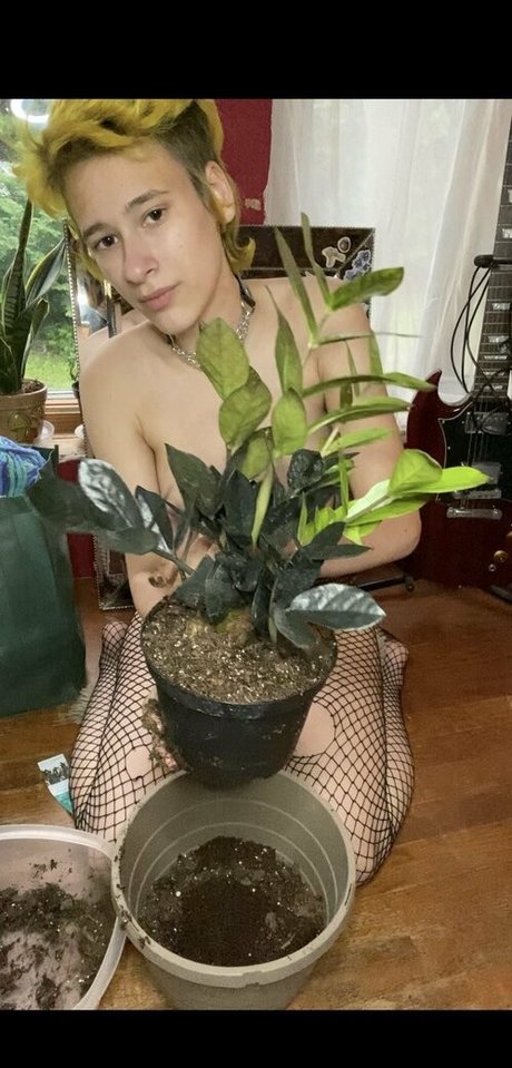 punkfrog ポルノモデル 写真