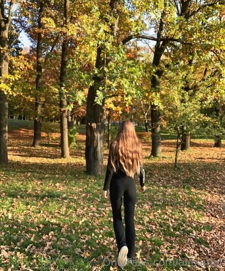 alexagol HDモデル 画像