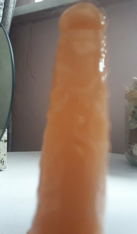 councilcutie スター xxx 写真