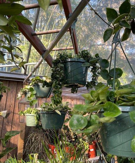 natnevv XXXモデル ギャラリー