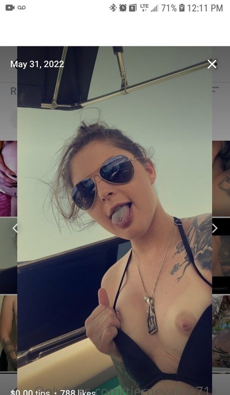 Barrel racer71 高品質モデル 写真