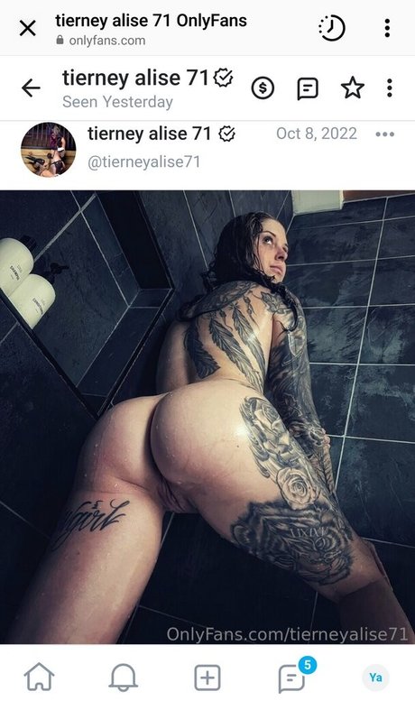 Barrel racer71 HDモデル アーカイブ