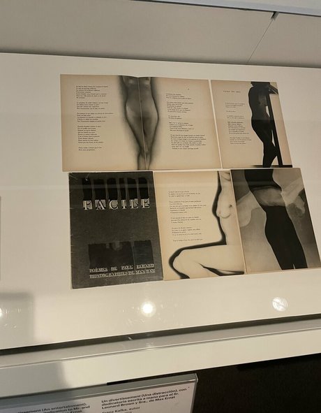 flaurallvip プロフィール写真