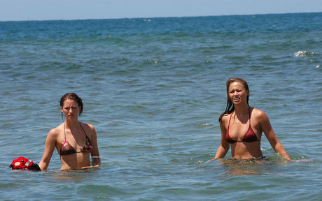 Chyler Leigh ポルノスター ギャラリー