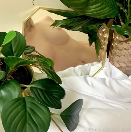 rosegoldxn セックスモデル ギャラリー