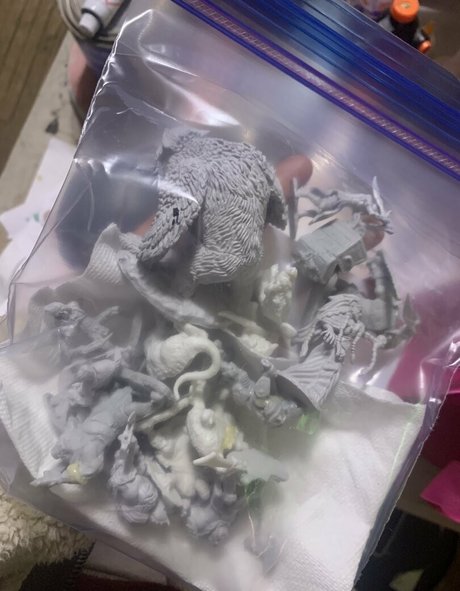 elizabethreed 高品質のスター 写真