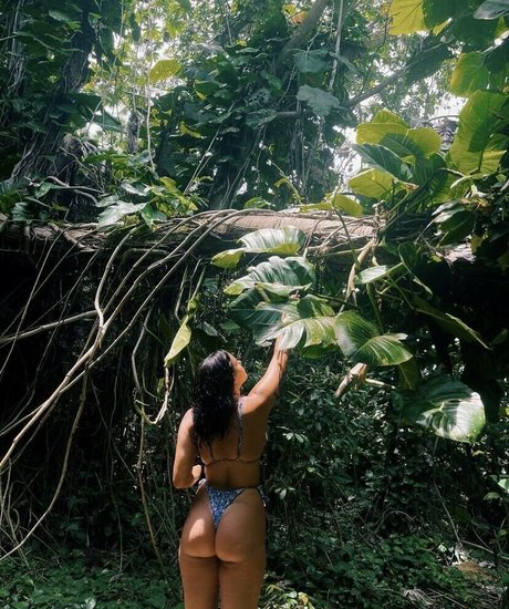 Venusrodin ヌードスター ギャラリー