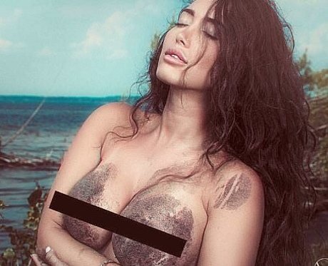 黒檀の指入れオンリーファンズ 美しい 画像