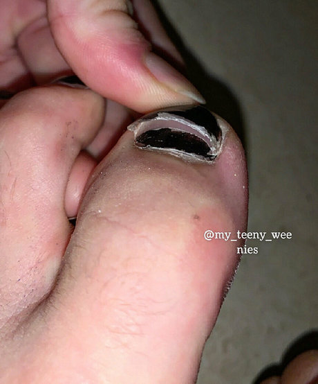 my teeny weenies 美しいスター 画像