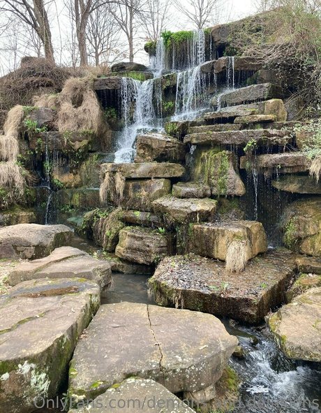 demons and delusions 素敵なポルノスター 写真