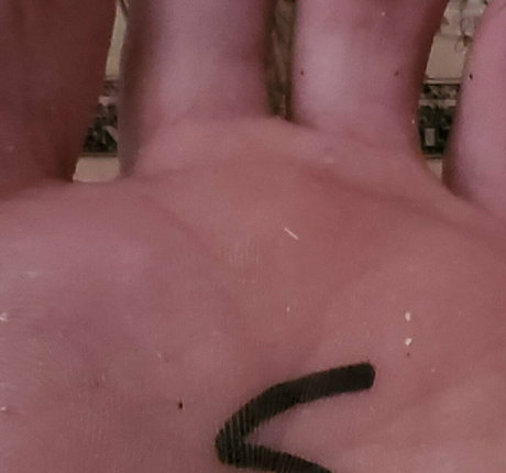 rudeboifun 美しいスター 写真