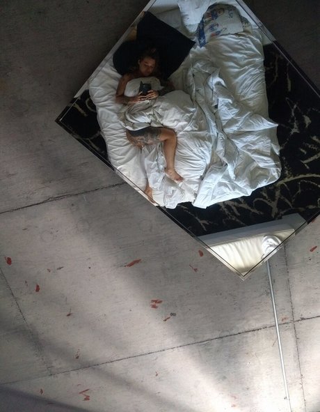 kleiovalentien 高品質のスター 画像