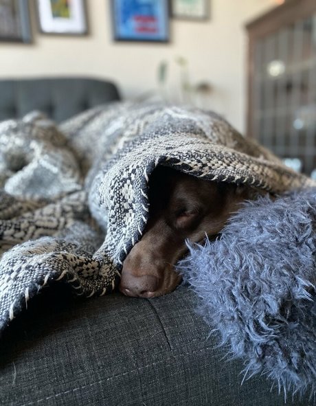 巨乳タトゥーオンリーファンズ ホットセックス 写真