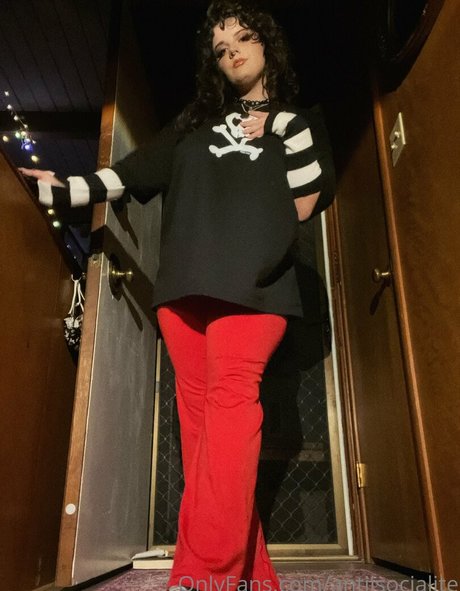 antiisocialite 素敵なスター 写真