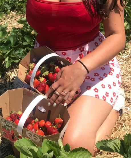 ゲイレザーオンリーファンズ 無料ヌード 写真