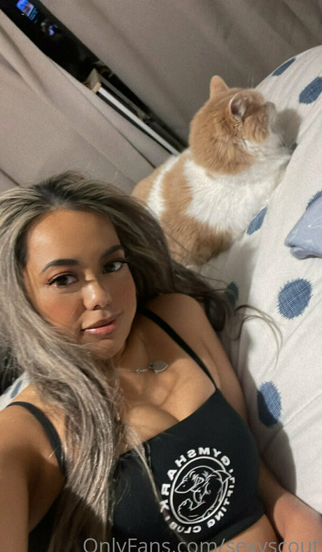 sexyscout ホット女優 画像