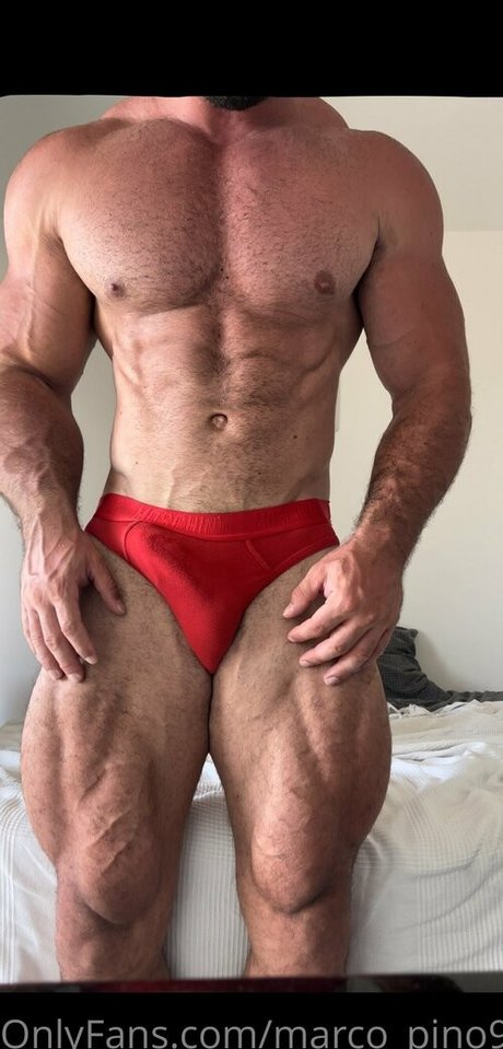 marco pino91 トップモデル 写真