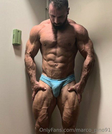 marco pino91 無料のスター 写真