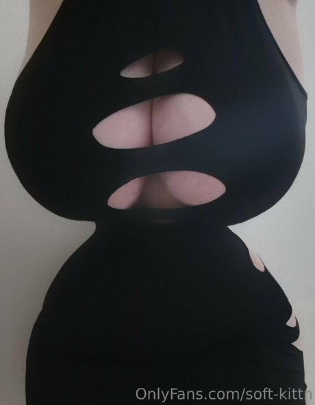 Soft kittn HDモデル 写真