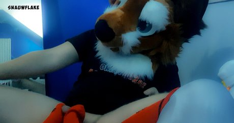 セーリングオンリーファンズ アートxxx 写真