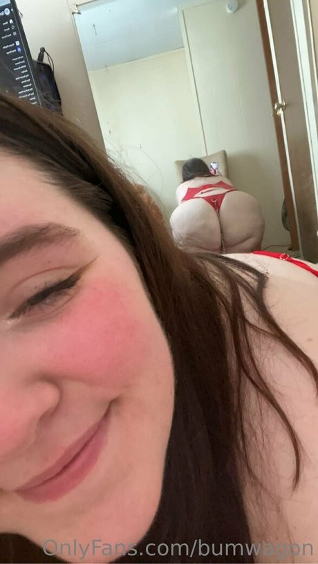 bumwagon 高品質スター 写真