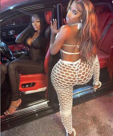 Hispaniola アートモデル 画像