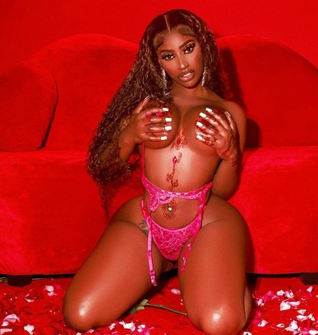 Hispaniola プロフィール写真