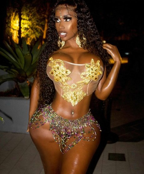 Hispaniola 無料スター ギャラリー