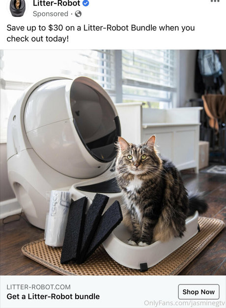 獣医オンリーファンズ パーフェクト アーカイブ