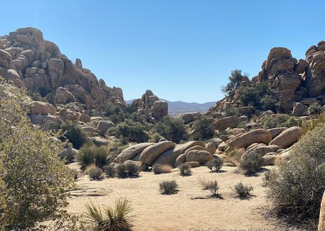 fitblondenextdoor ポルノスター 写真